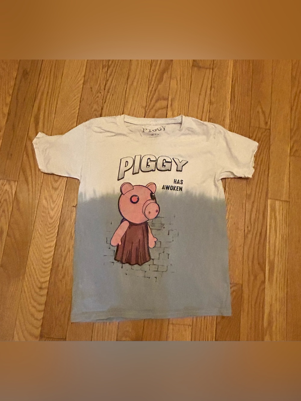 Boys “Piggy Has Awoken” Tee Size Small